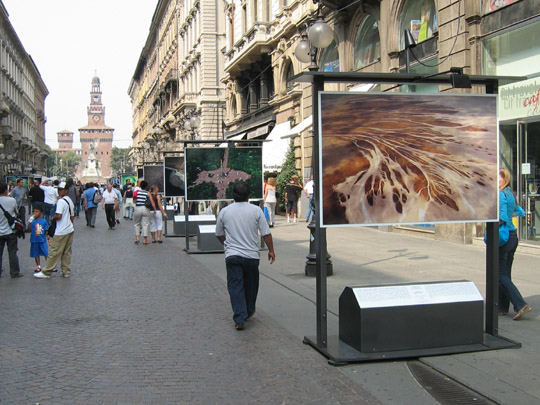 Yann Arthus-Bertrand photo exhibit in Milan